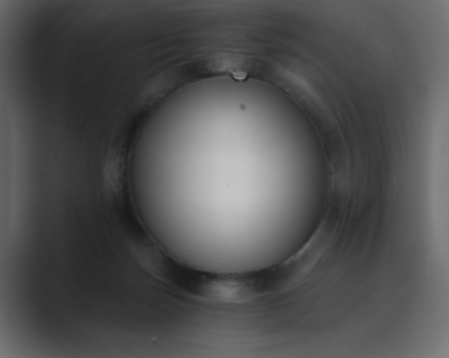X0000089850171200706281258