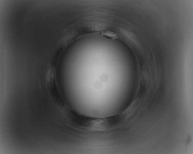 X0000089850172200706281258