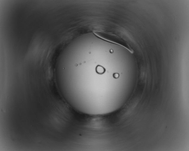 X0000089850173200706281258