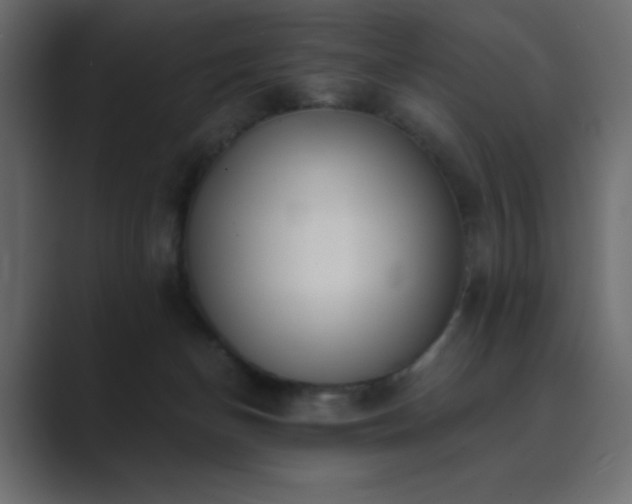 X0000089850174200706281258