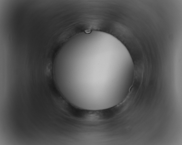 X0000089850175200706281258