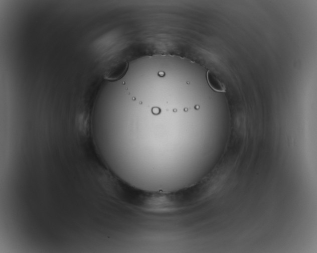 X0000089850177200706281258