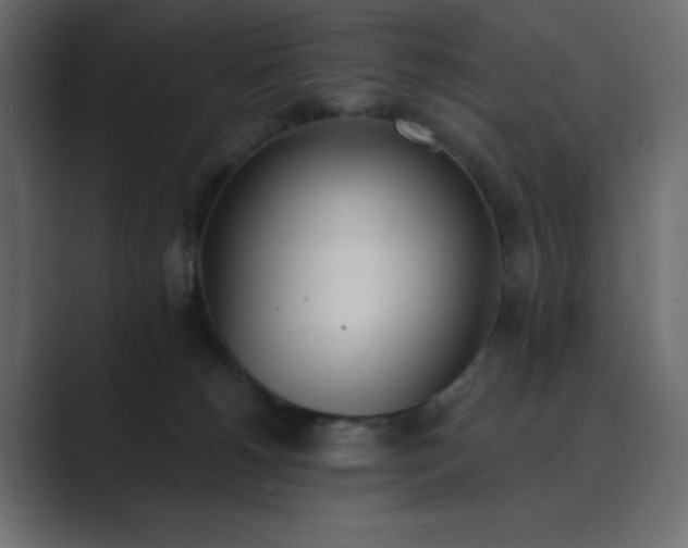 X0000089850180200706281258