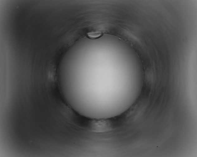 X0000089850181200706281258