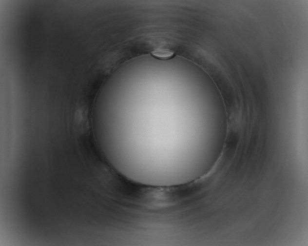 X0000089850182200706281258
