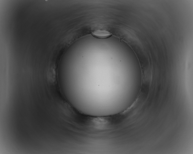 X0000089850183200706281258