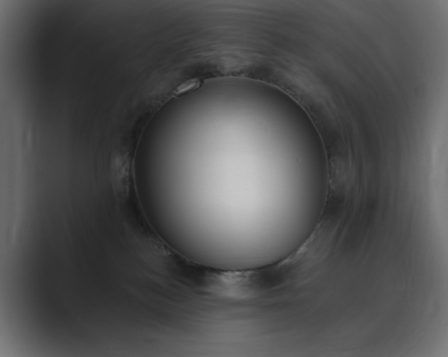 X0000089850184200706281258