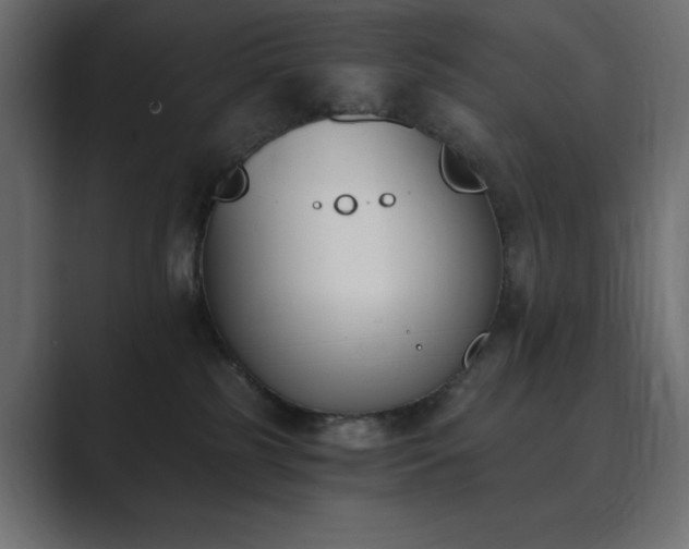 X0000089850185200706281258