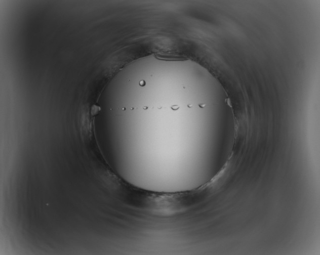 X0000089850186200706281258