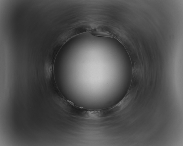 X0000089850188200706281258