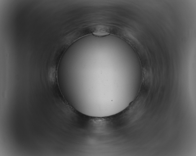 X0000089850189200706281258
