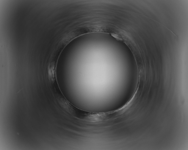 X0000089850190200706281258