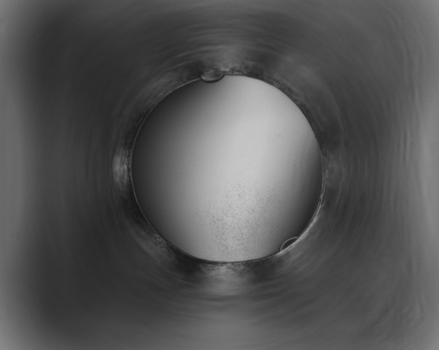 X0000089850191200706281258