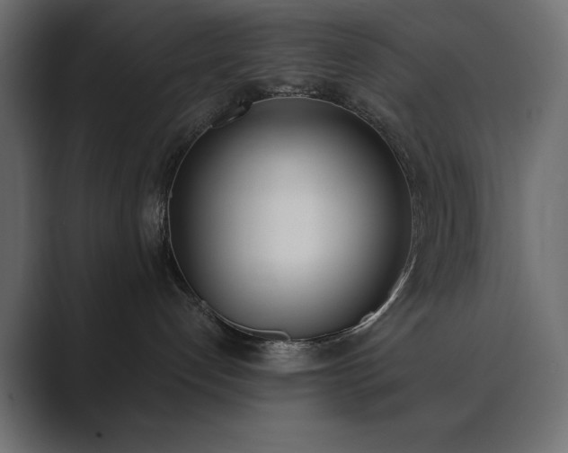 X0000089850192200706281258