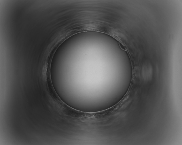 X0000089850194200706281257