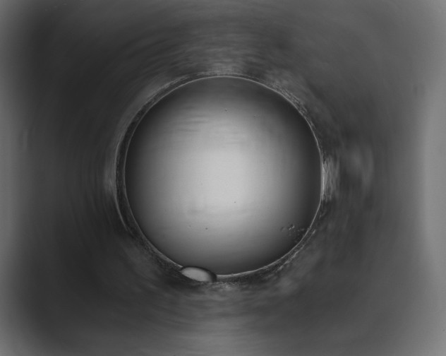 X0000089850195200706281257