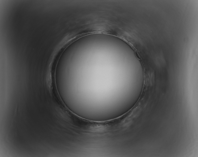 X0000089850198200706281257