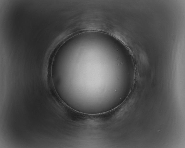 X0000089850199200706281257