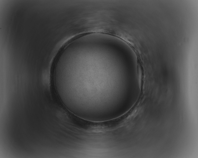 X0000089850200200706281257