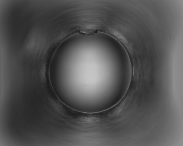 X0000089850201200706281257