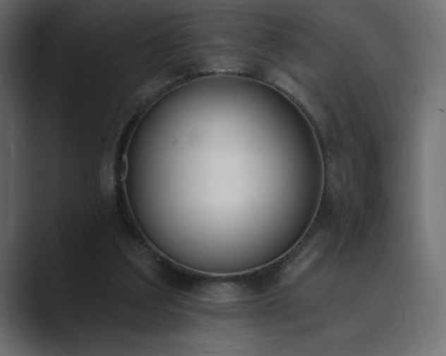 X0000089850203200706281257