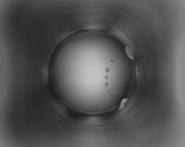 X0000089850204200706281257