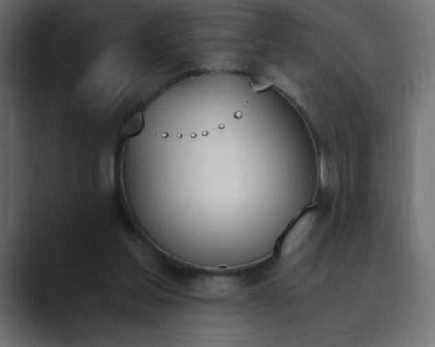 X0000089850205200706281257