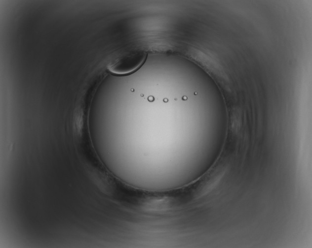X0000089850206200706281257