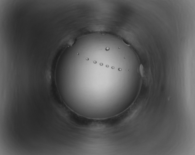 X0000089850207200706281257