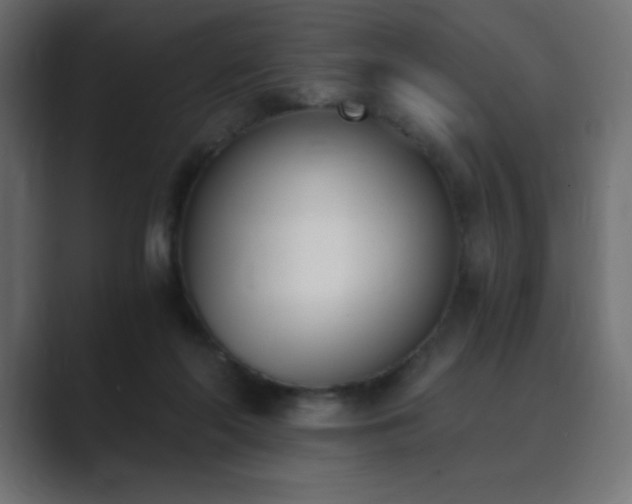 X0000089850214200706281257