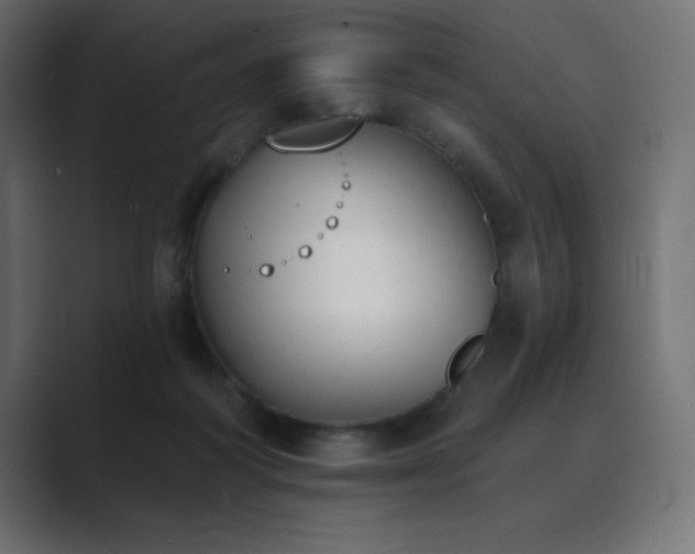 X0000089850218200706281257