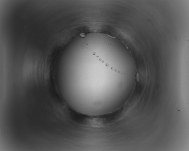 X0000089850221200706281257