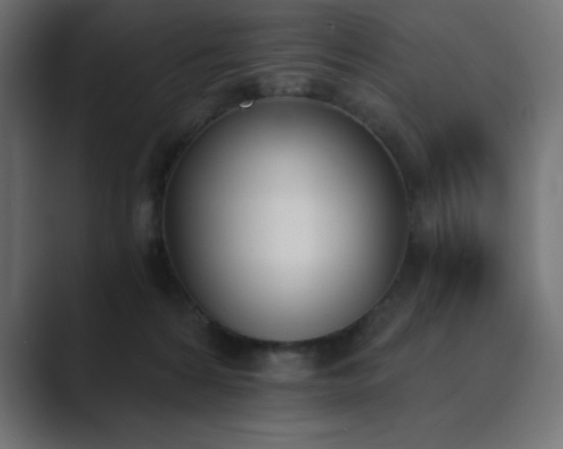 X0000089850224200706281257