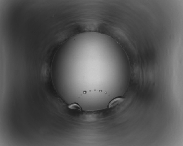 X0000089850228200706281257