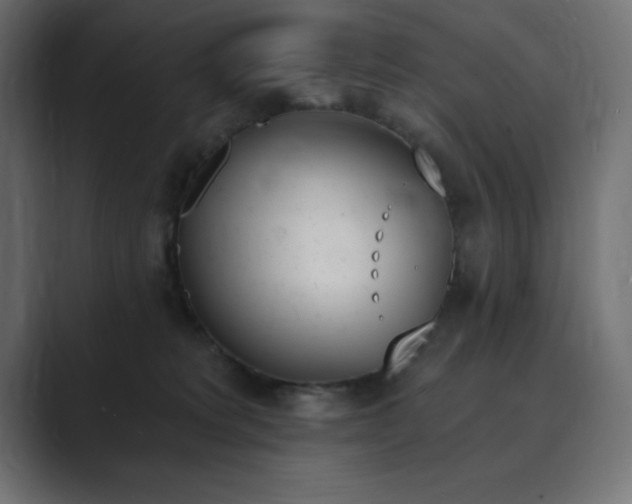 X0000089850229200706281257