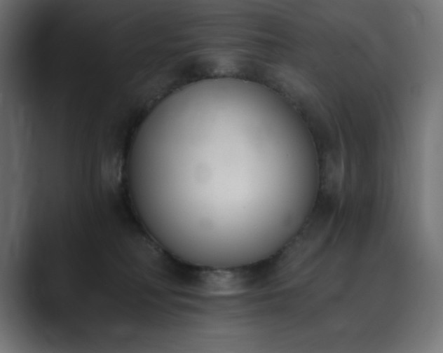 X0000089850230200706281257