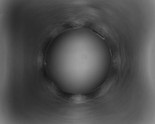 X0000089850231200706281257