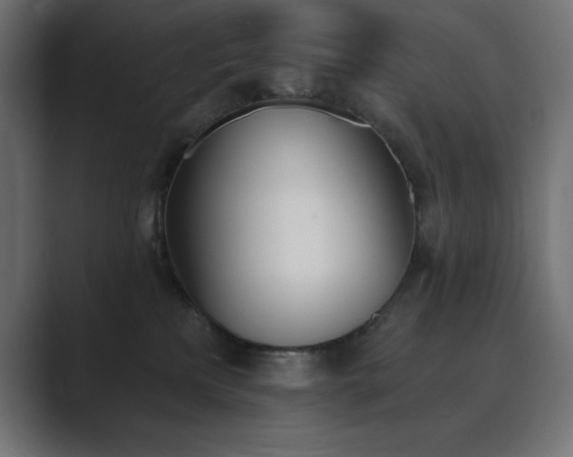 X0000089850233200706281257