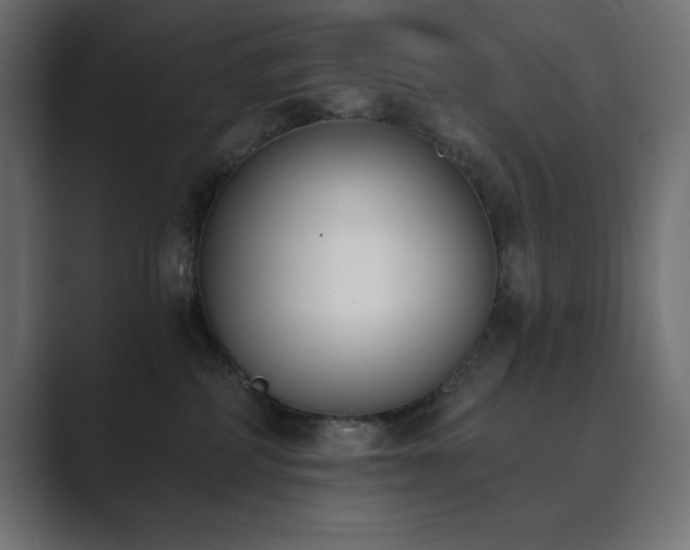 X0000089850234200706281257