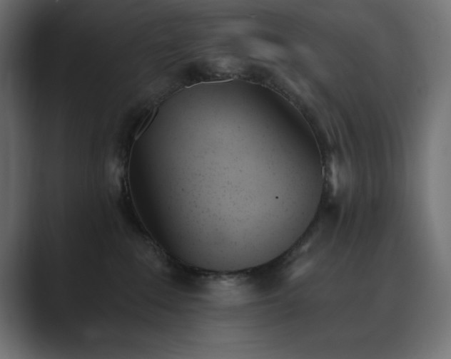 X0000089850235200706281257
