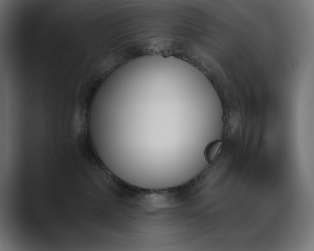 X0000089850236200706281257