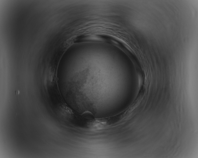 X0000089850239200706281257