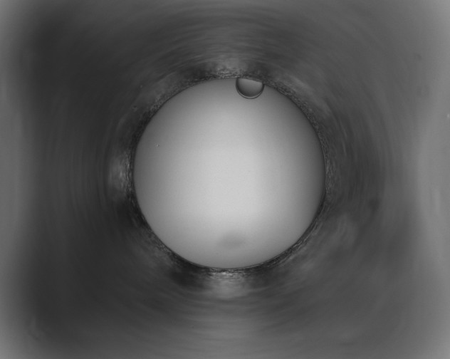 X0000089850240200706281257