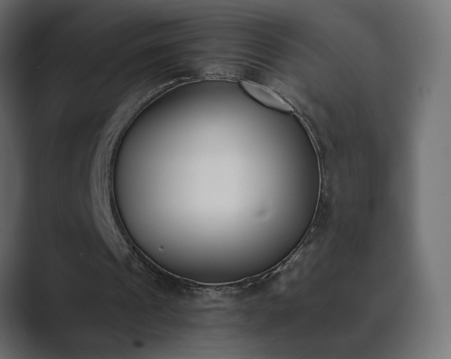 X0000089850241200706281256