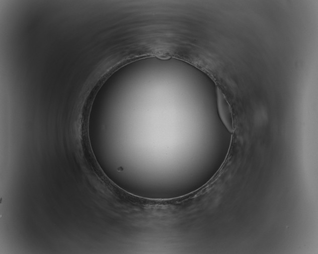 X0000089850242200706281256