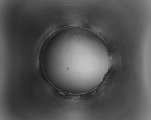 X0000089850243200706281256