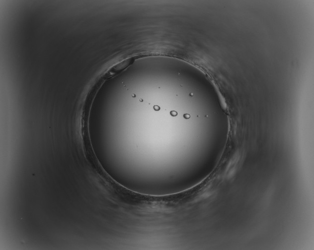 X0000089850244200706281256