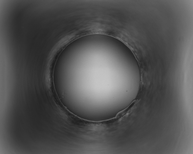 X0000089850245200706281256