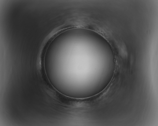 X0000089850246200706281256