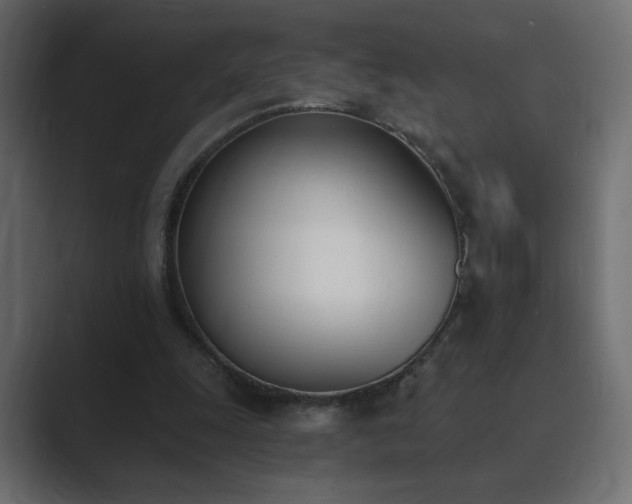 X0000089850247200706281256